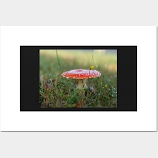 Toadstool Mushroom with dew drops - Christmas card Posters and Art